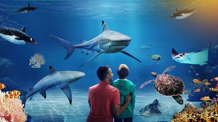 Sea Life Centre Great Yarmouth
